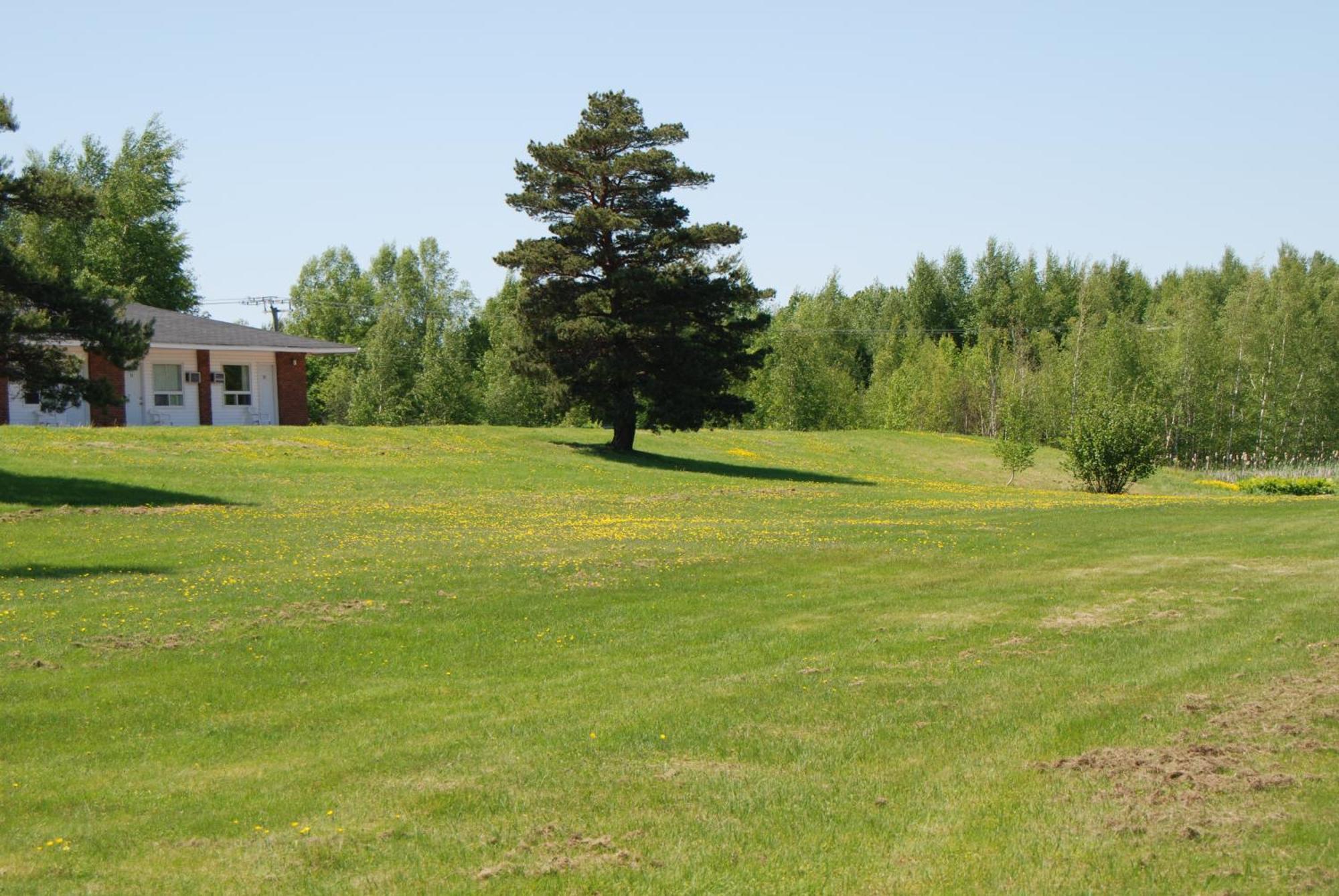 Tantramar Motel Sackville Esterno foto